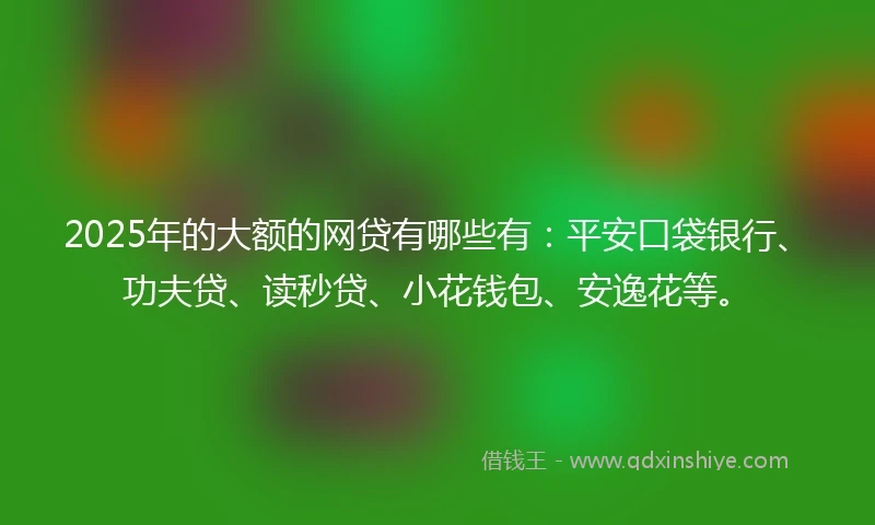 2025年的大额的网贷有哪些有：平安口袋银行、功夫贷、读秒贷、小花钱包、安逸花等。