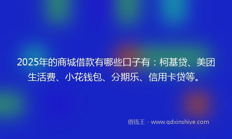 2025年的商城借款有哪些口子有：柯基贷、美团生活费、小花钱包、分期乐、信用卡贷等。