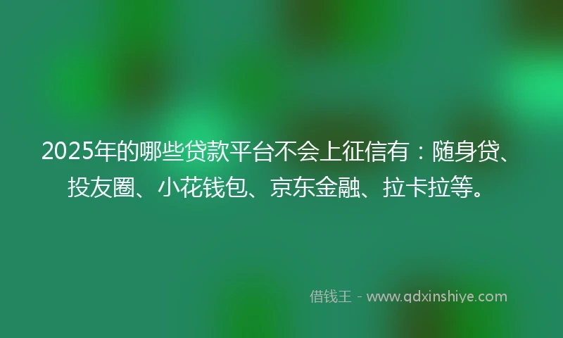 2025年的哪些贷款平台不会上征信有：随身贷、投友圈、小花钱包、京东金融、拉卡拉等。