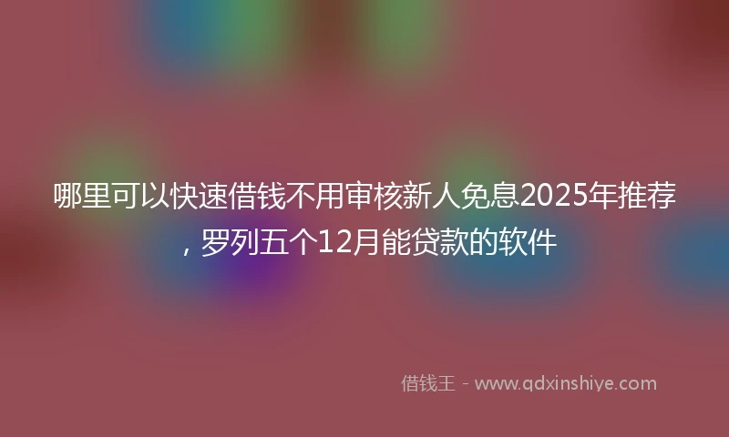 哪里可以快速借钱不用审核新人免息2025年推荐，罗列五个12月能贷款的软件