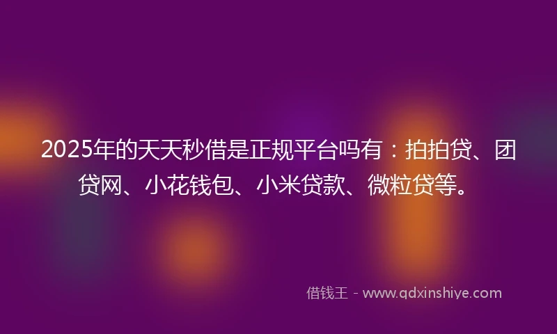 2025年的天天秒借是正规平台吗有：拍拍贷、团贷网、小花钱包、小米贷款、微粒贷等。