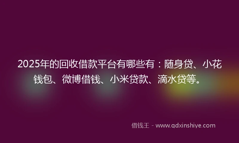 2025年的回收借款平台有哪些有：随身贷、小花钱包、微博借钱、小米贷款、滴水贷等。