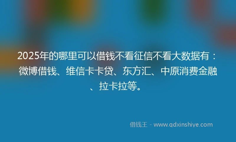 2025年的哪里可以借钱不看征信不看大数据有：微博借钱、维信卡卡贷、东方汇、中原消费金融、拉卡拉等。