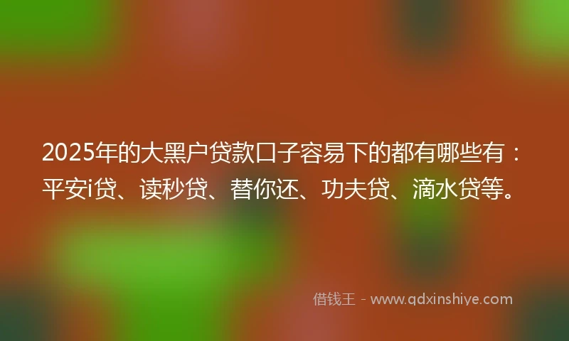 2025年的大黑户贷款口子容易下的都有哪些有：平安i贷、读秒贷、替你还、功夫贷、滴水贷等。