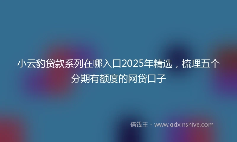 小云豹贷款系列在哪入口2025年精选，梳理五个分期有额度的网贷口子