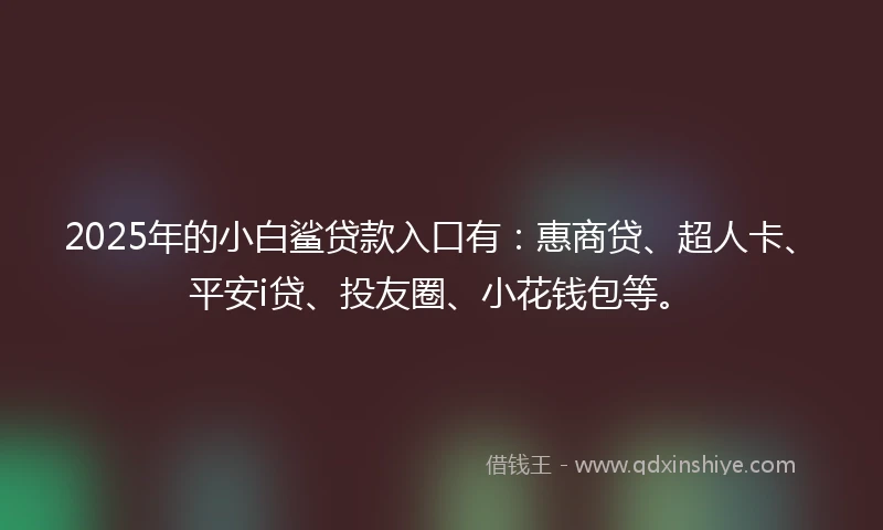 2025年的小白鲨贷款入口有：惠商贷、超人卡、平安i贷、投友圈、小花钱包等。