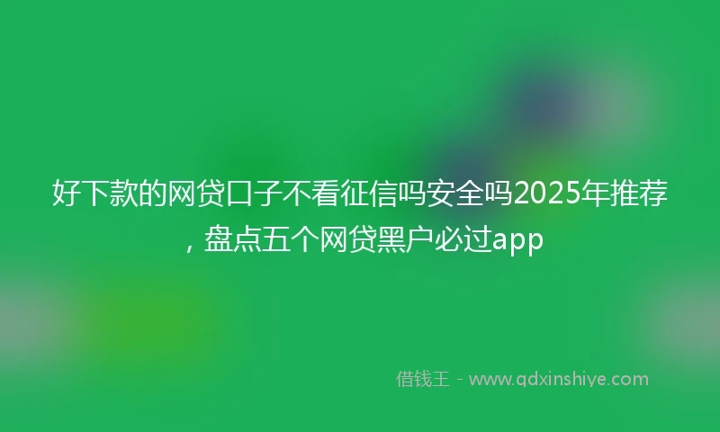 好下款的网贷口子不看征信吗安全吗2025年推荐，盘点五个网贷黑户必过app