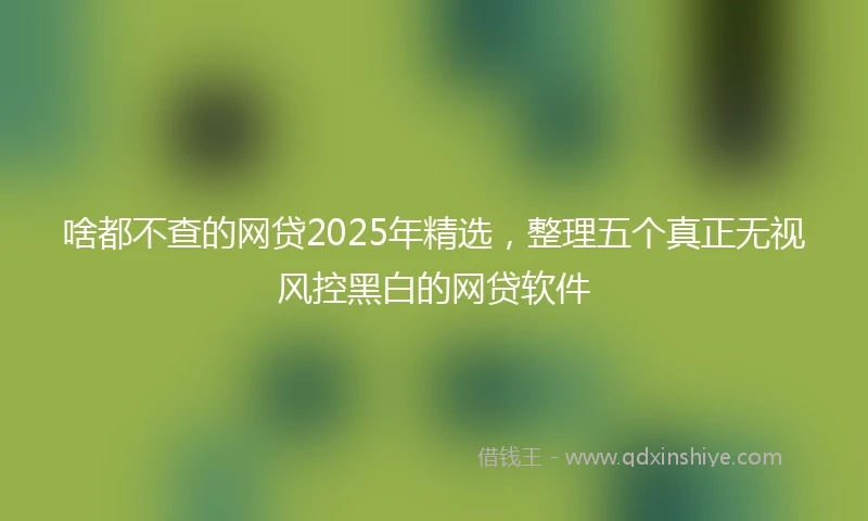 啥都不查的网贷2025年精选，整理五个真正无视风控黑白的网贷软件