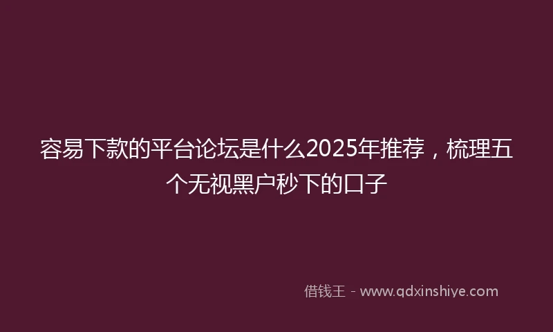 容易下款的平台论坛是什么2025年推荐，梳理五个无视黑户秒下的口子