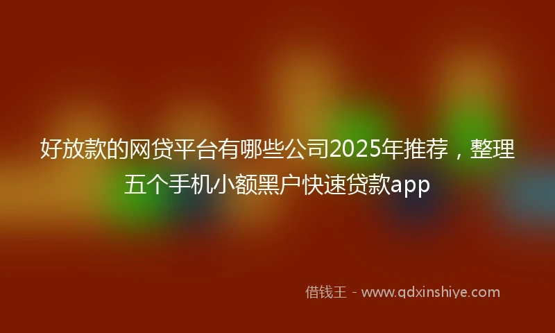 好放款的网贷平台有哪些公司2025年推荐，整理五个手机小额黑户快速贷款app