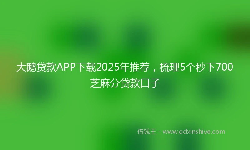 大鹅贷款APP下载2025年推荐，梳理5个秒下700芝麻分贷款口子