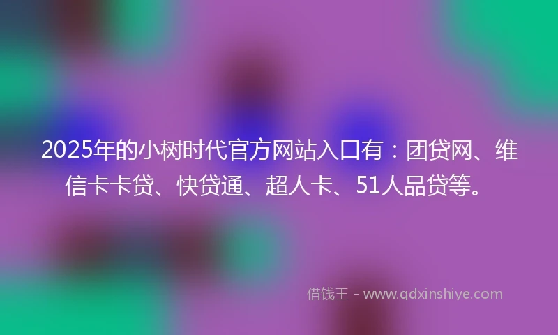 2025年的小树时代官方网站入口有：团贷网、维信卡卡贷、快贷通、超人卡、51人品贷等。