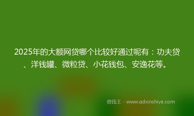 2025年的大额网贷哪个比较好通过呢有：功夫贷、洋钱罐、微粒贷、小花钱包、安逸花等。