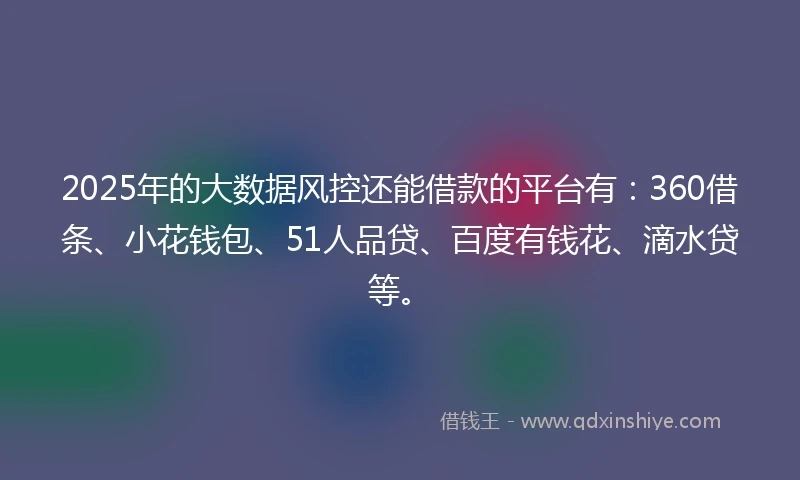 2025年的大数据风控还能借款的平台有：360借条、小花钱包、51人品贷、百度有钱花、滴水贷等。