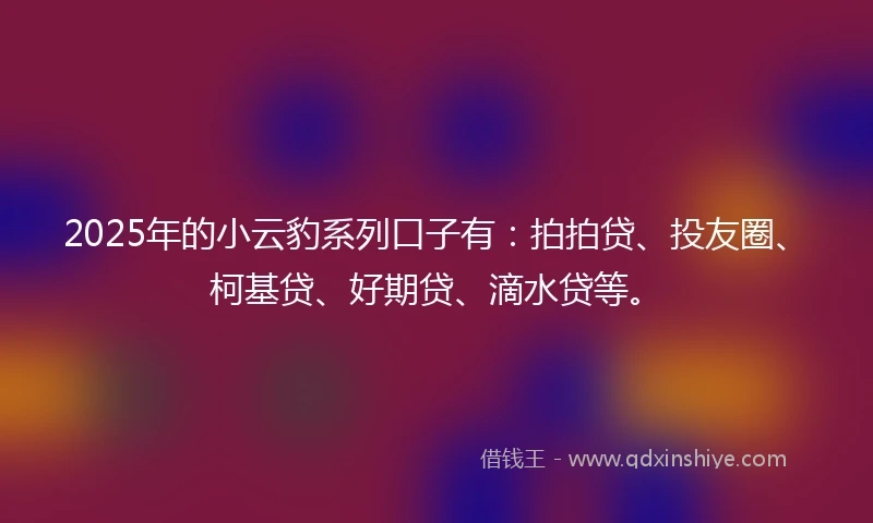 2025年的小云豹系列口子有：拍拍贷、投友圈、柯基贷、好期贷、滴水贷等。