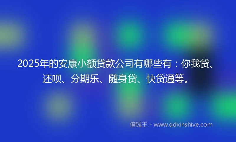 2025年的安康小额贷款公司有哪些有：你我贷、还呗、分期乐、随身贷、快贷通等。