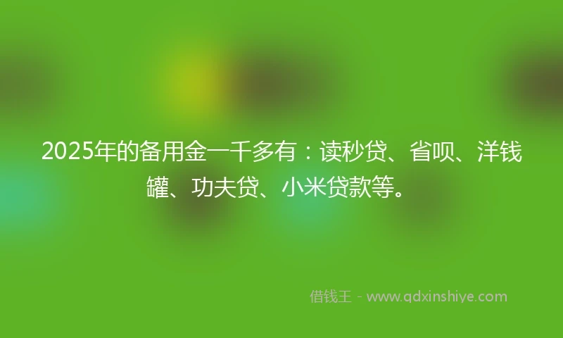 2025年的备用金一千多有：读秒贷、省呗、洋钱罐、功夫贷、小米贷款等。