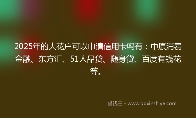 2025年的大花户可以申请信用卡吗有：中原消费金融、东方汇、51人品贷、随身贷、百度有钱花等。