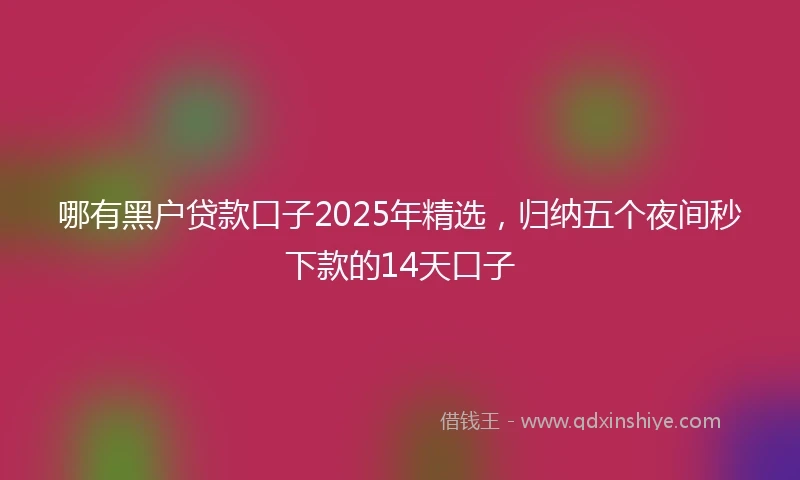 哪有黑户贷款口子2025年精选，归纳五个夜间秒下款的14天口子