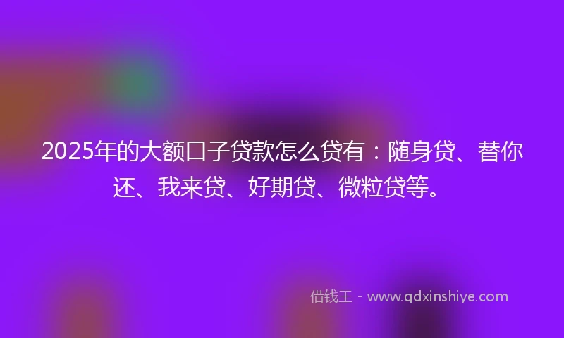 2025年的大额口子贷款怎么贷有：随身贷、替你还、我来贷、好期贷、微粒贷等。