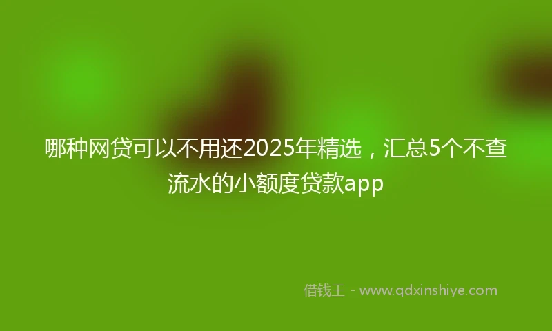 哪种网贷可以不用还2025年精选，汇总5个不查流水的小额度贷款app