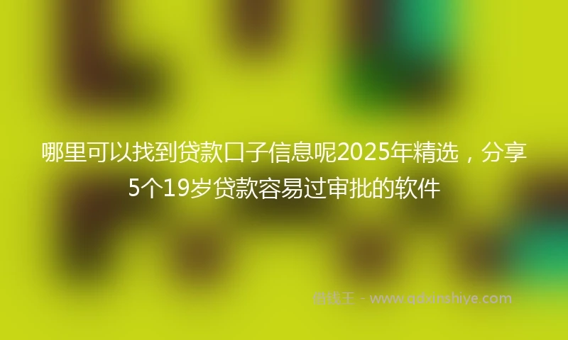 哪里可以找到贷款口子信息呢2025年精选，分享5个19岁贷款容易过审批的软件