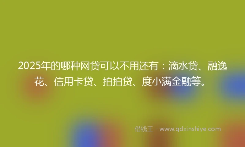 2025年的哪种网贷可以不用还有：滴水贷、融逸花、信用卡贷、拍拍贷、度小满金融等。