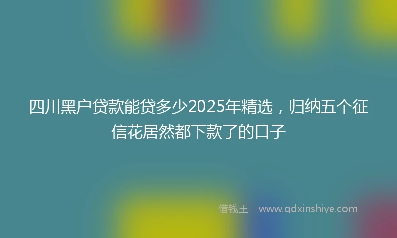 四川黑户贷款能贷多少2025年精选，归纳五个征信花居然都下款了的口子