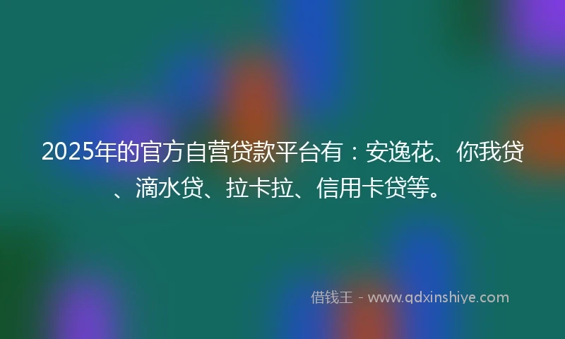 2025年的官方自营贷款平台有：安逸花、你我贷、滴水贷、拉卡拉、信用卡贷等。