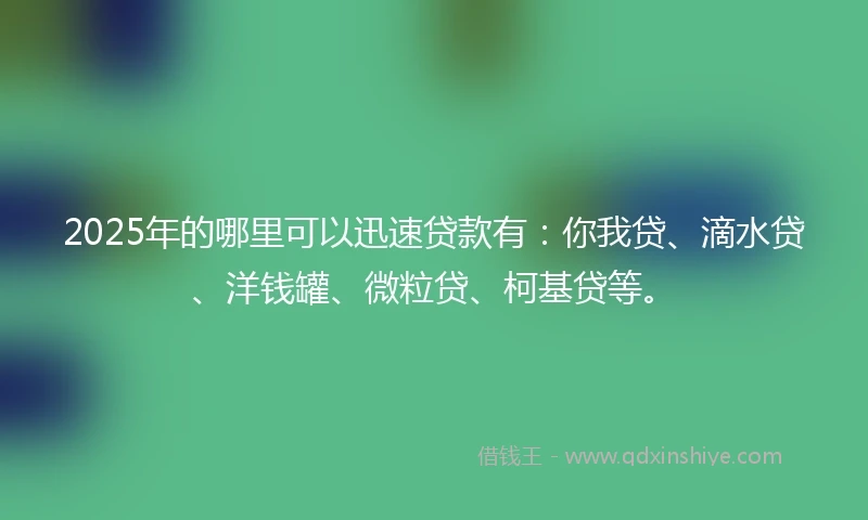 2025年的哪里可以迅速贷款有：你我贷、滴水贷、洋钱罐、微粒贷、柯基贷等。