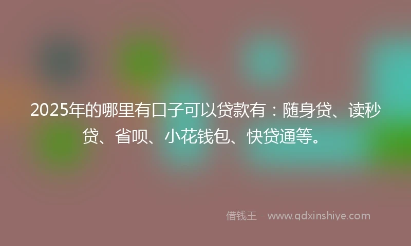 2025年的哪里有口子可以贷款有：随身贷、读秒贷、省呗、小花钱包、快贷通等。