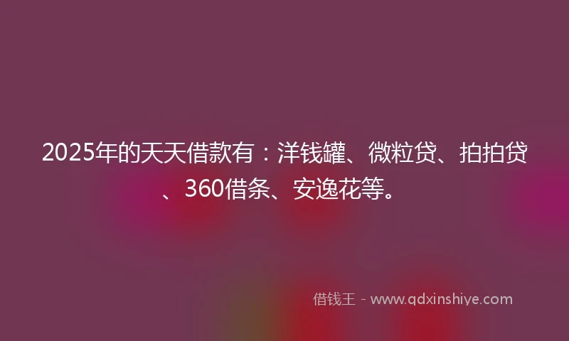 2025年的天天借款有：洋钱罐、微粒贷、拍拍贷、360借条、安逸花等。