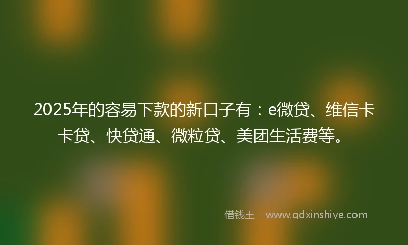 2025年的容易下款的新口子有：e微贷、维信卡卡贷、快贷通、微粒贷、美团生活费等。
