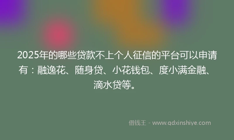 2025年的哪些贷款不上个人征信的平台可以申请有：融逸花、随身贷、小花钱包、度小满金融、滴水贷等。