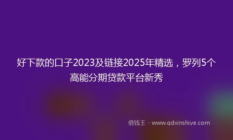 好下款的口子2023及链接2025年精选，罗列5个高能分期贷款平台新秀