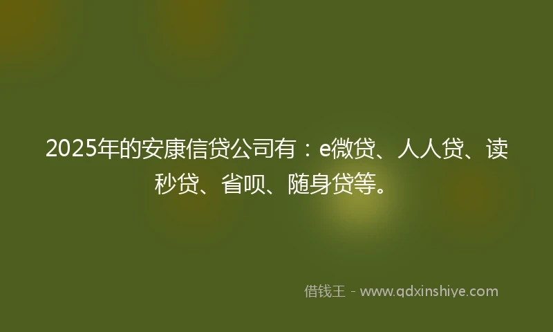 2025年的安康信贷公司有:e微贷、人人贷、读秒贷、省呗、随身贷等。