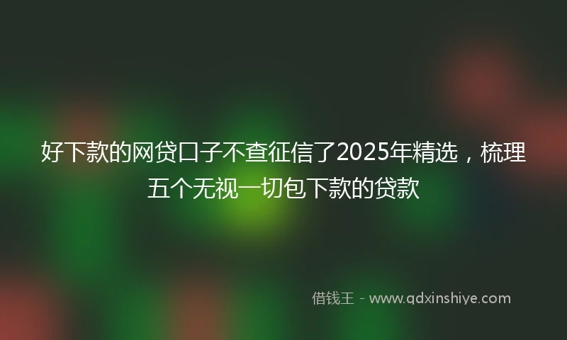 好下款的网贷口子不查征信了2025年精选，梳理五个无视一切包下款的贷款