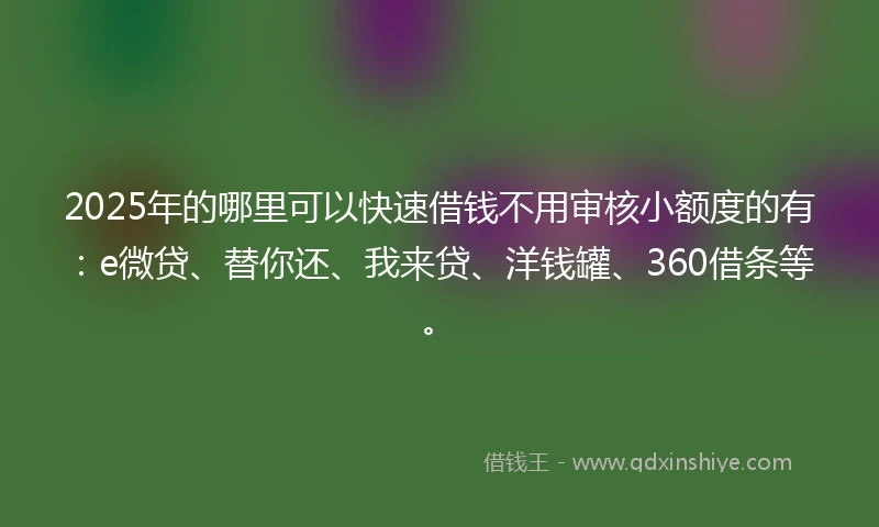 2025年的哪里可以快速借钱不用审核小额度的有：e微贷、替你还、我来贷、洋钱罐、360借条等。