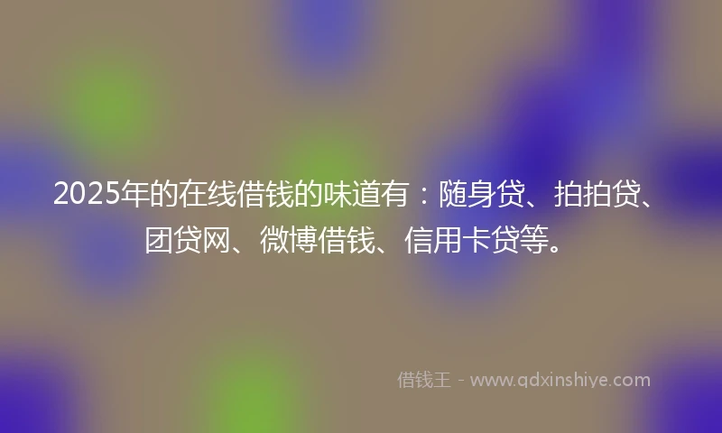 2025年的在线借钱的味道有：随身贷、拍拍贷、团贷网、微博借钱、信用卡贷等。