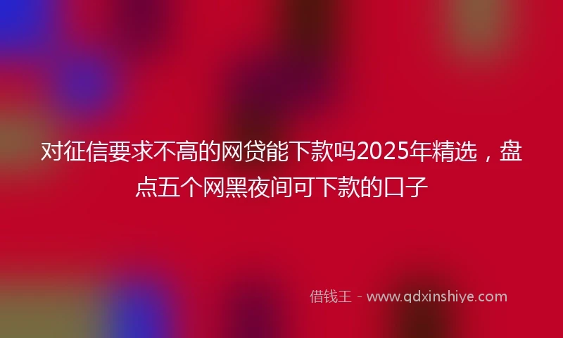 对征信要求不高的网贷能下款吗2025年精选，盘点五个网黑夜间可下款的口子