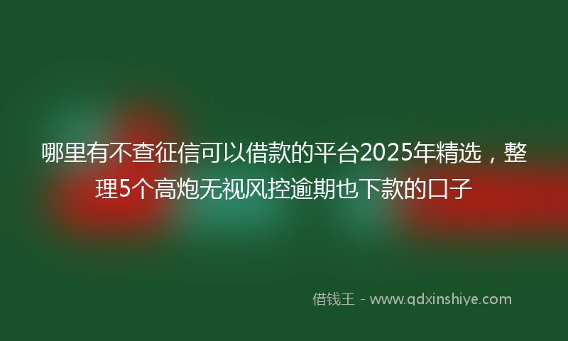 哪里有不查征信可以借款的平台2025年精选，整理5个高炮无视风控逾期也下款的口子