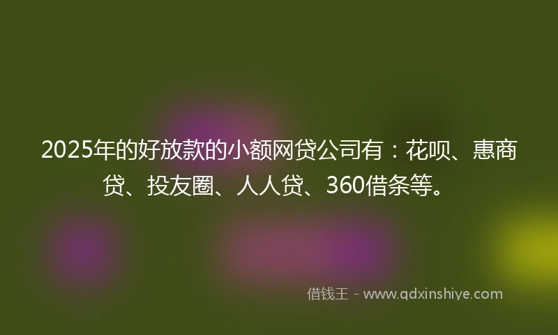 2025年的好放款的小额网贷公司有：花呗、惠商贷、投友圈、人人贷、360借条等。