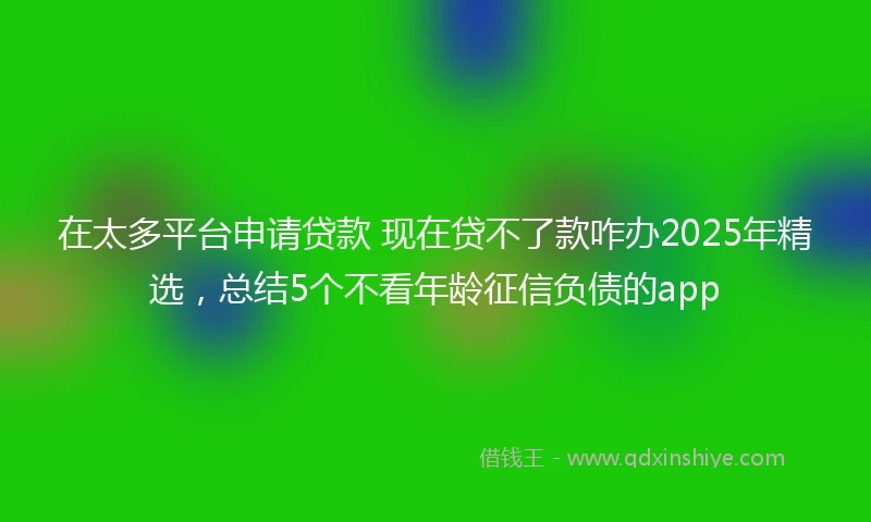 在太多平台申请贷款 现在贷不了款咋办2025年精选，总结5个不看年龄征信负债的app
