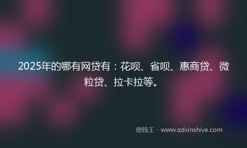2025年的哪有网贷有：花呗、省呗、惠商贷、微粒贷、拉卡拉等。