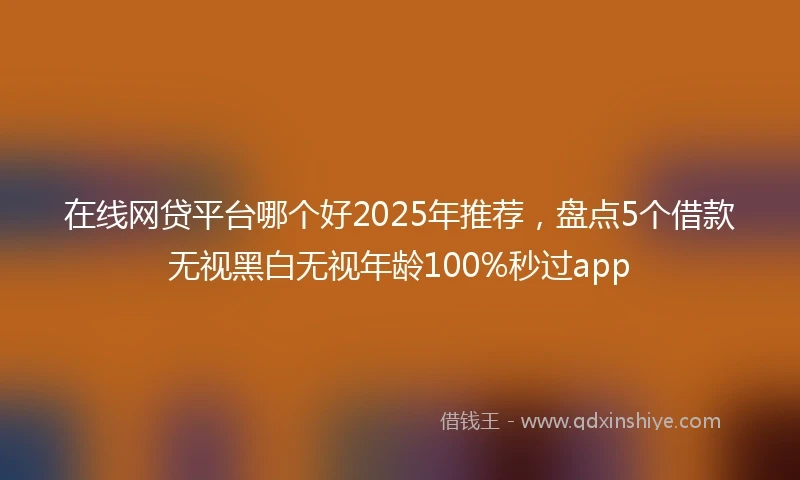 在线网贷平台哪个好2025年推荐，盘点5个借款无视黑白无视年龄100%秒过app
