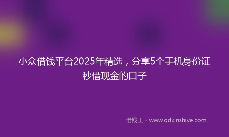 小众借钱平台2025年精选，分享5个手机身份证秒借现金的口子