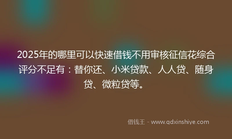 2025年的哪里可以快速借钱不用审核征信花综合评分不足有：替你还、小米贷款、人人贷、随身贷、微粒贷等。