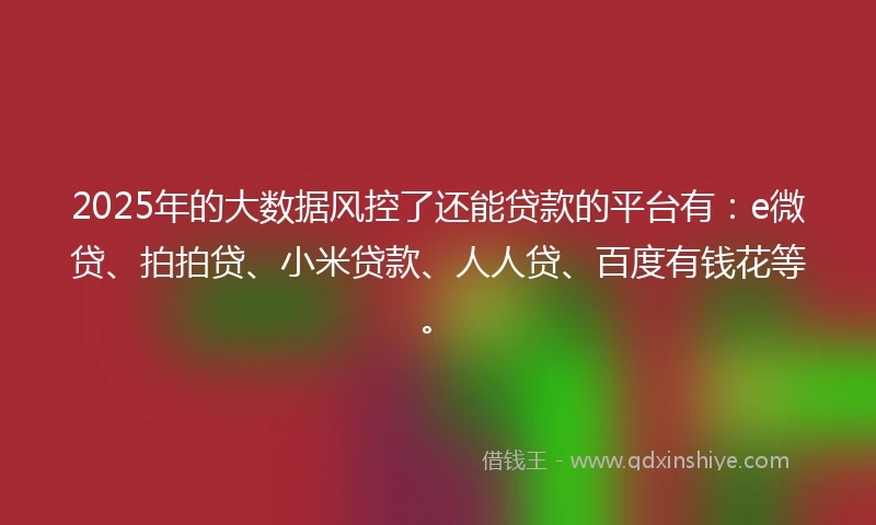 2025年的大数据风控了还能贷款的平台有：e微贷、拍拍贷、小米贷款、人人贷、百度有钱花等。
