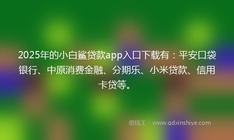 2025年的小白鲨贷款app入口下载有：平安口袋银行、中原消费金融、分期乐、小米贷款、信用卡贷等。