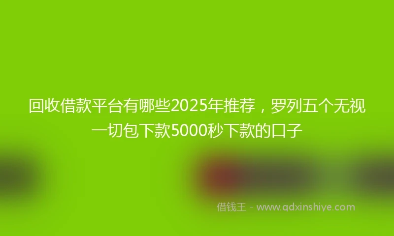 回收借款平台有哪些2025年推荐，罗列五个无视一切包下款5000秒下款的口子